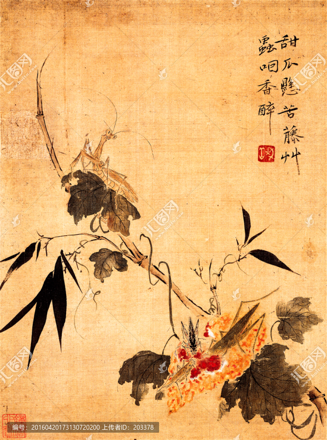 圖畫花
