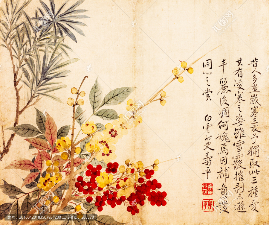 惲壽平,花卉牡丹