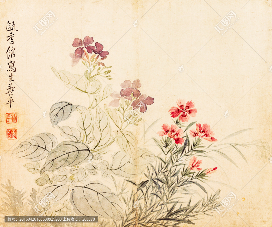 花卉圖冊(cè)之四豆花石竹