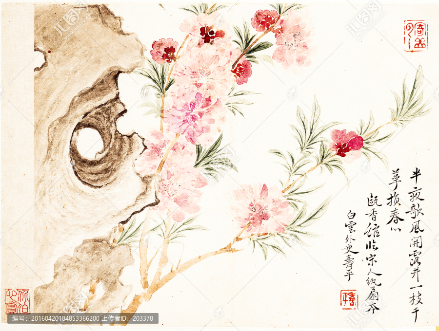 惲壽平,花卉