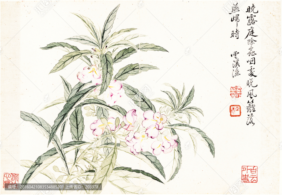 清,惲壽平,花卉十開
