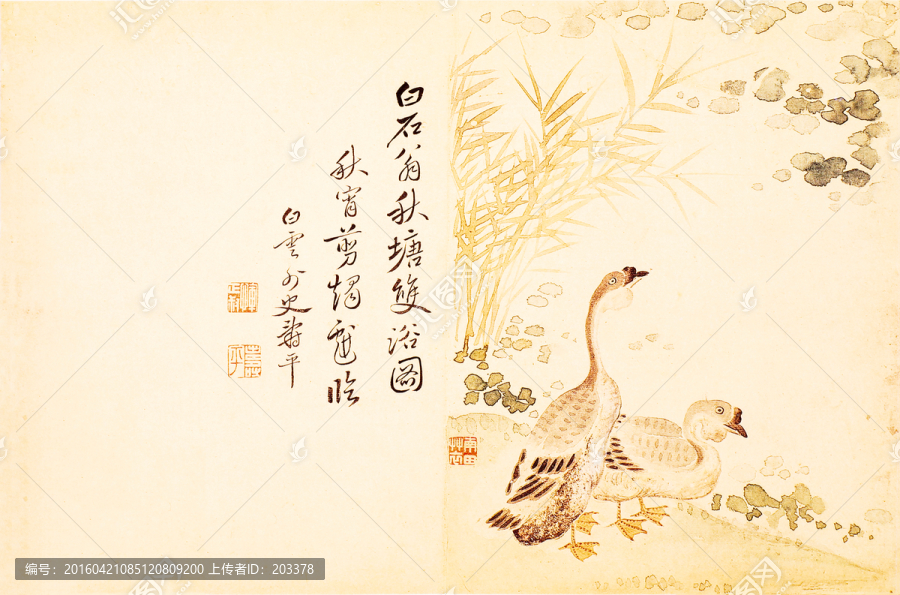 清,惲壽平,秋塘雙浴