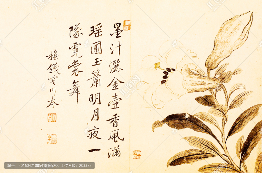 清,惲壽平,灑金玉蘭