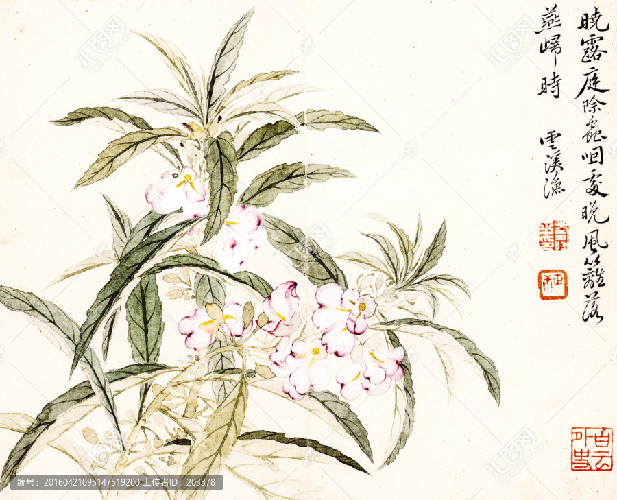 惲壽平,山水花卉