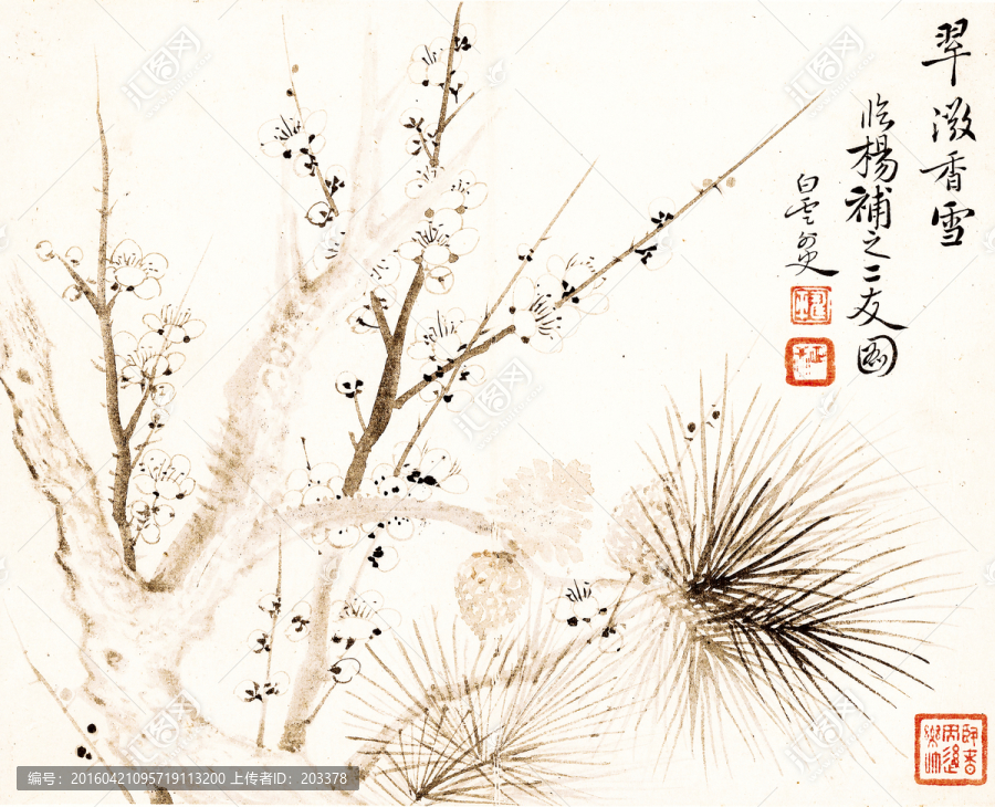清惲壽平,甌香館寫生冊,梅花