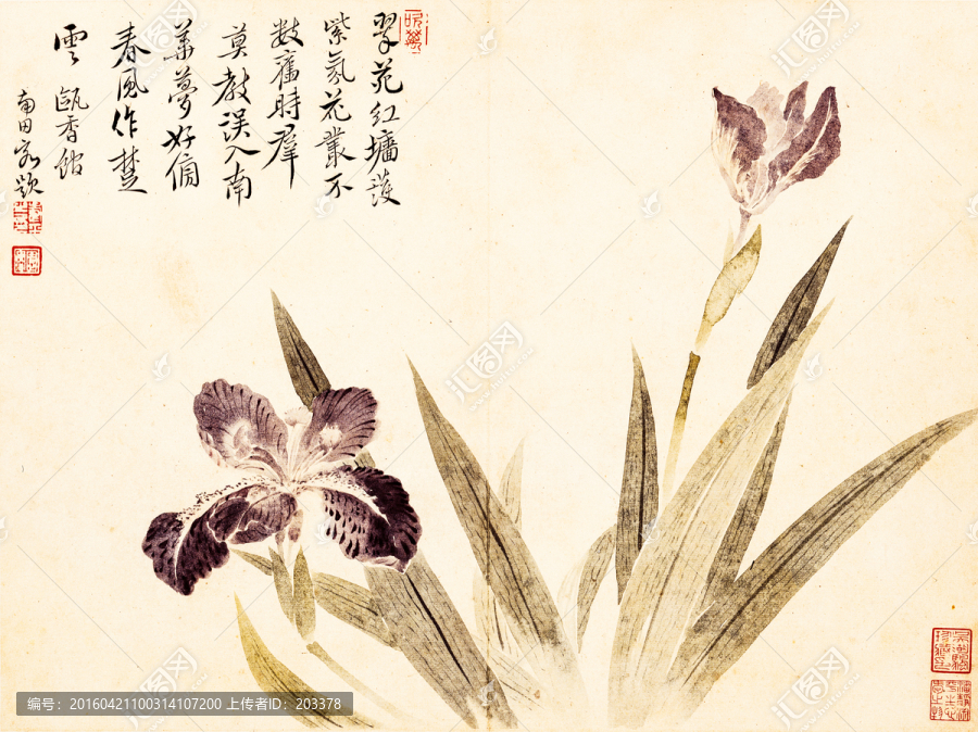 惲壽平,花鳥草蟲