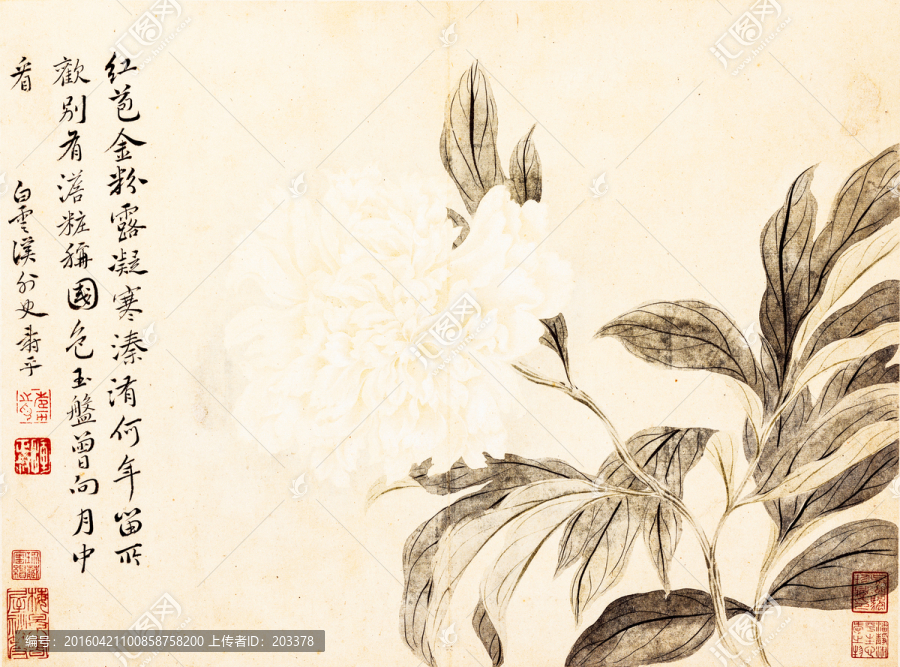 惲壽平,花鳥草蟲