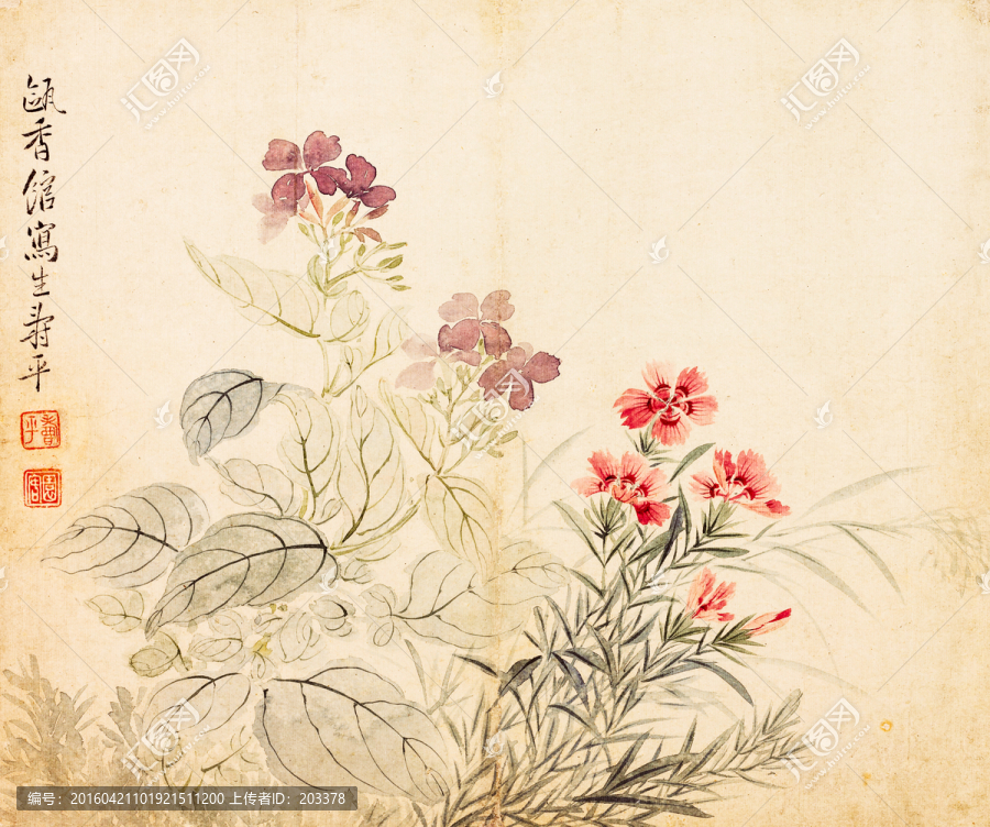 惲壽平花卉冊豆花石竹