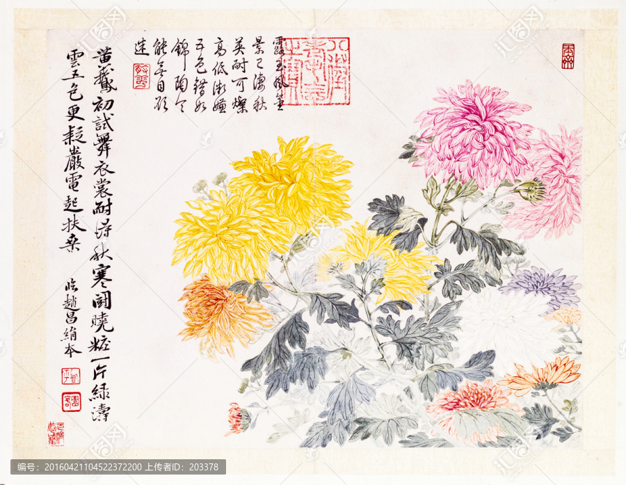 惲壽平山水花鳥圖冊之菊花