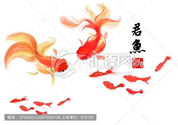 君魚設(shè)計(jì)圖