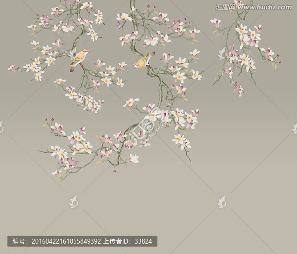 黃鸝和玉蘭花