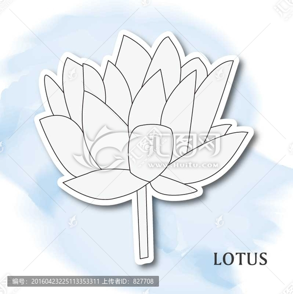 荷花