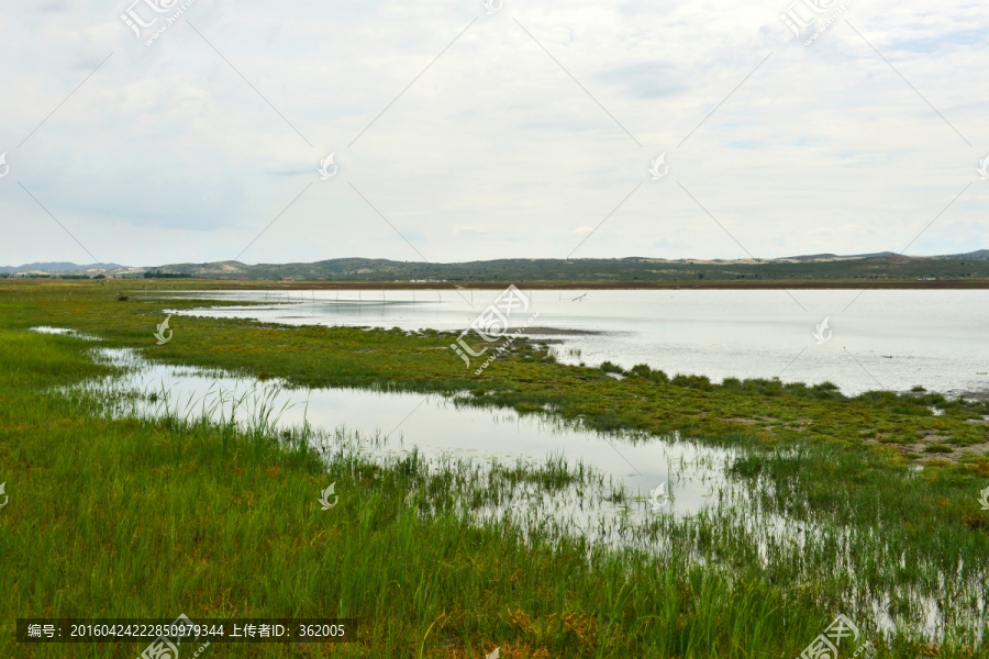 湖岸