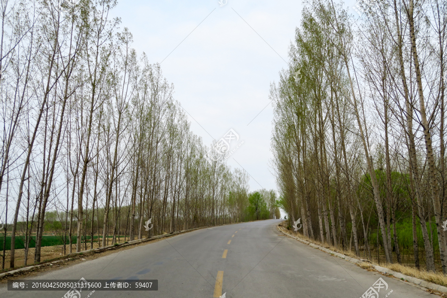 村间道路