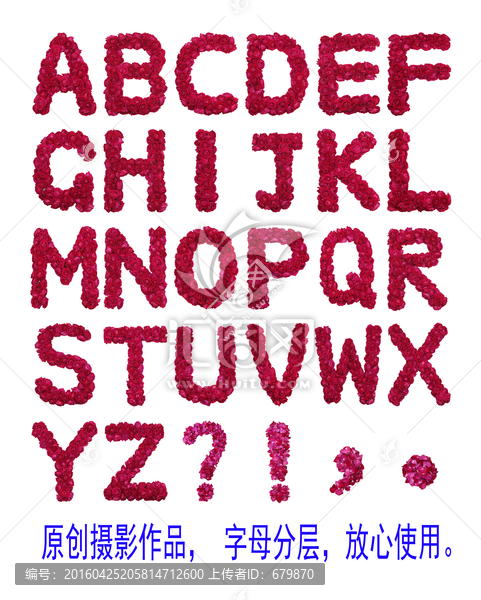 玫瑰花英文字母