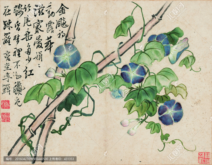 寫意國畫,牽牛花