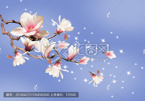 玉蘭