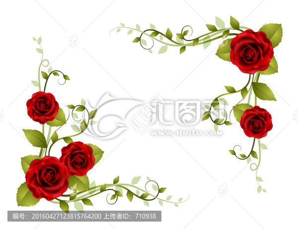 紅色玫瑰,花邊,花紋,韓國花紋