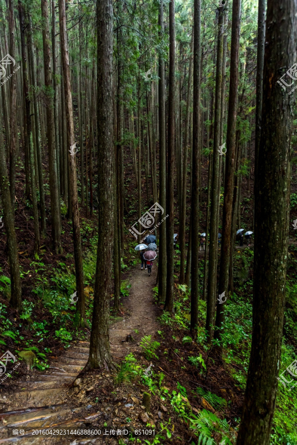 熊野古道