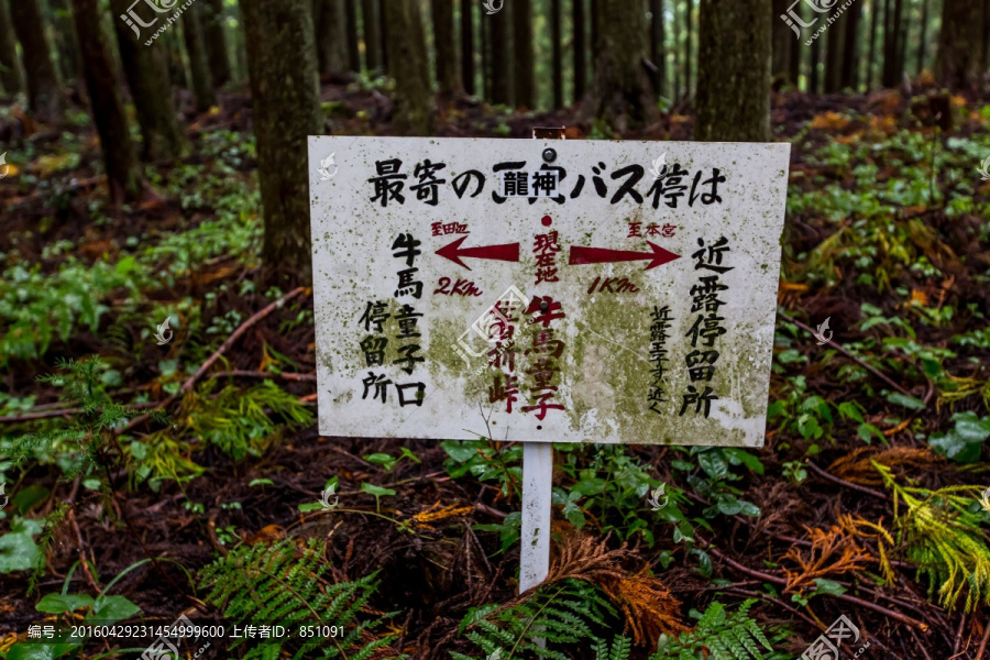 熊野古道牛马