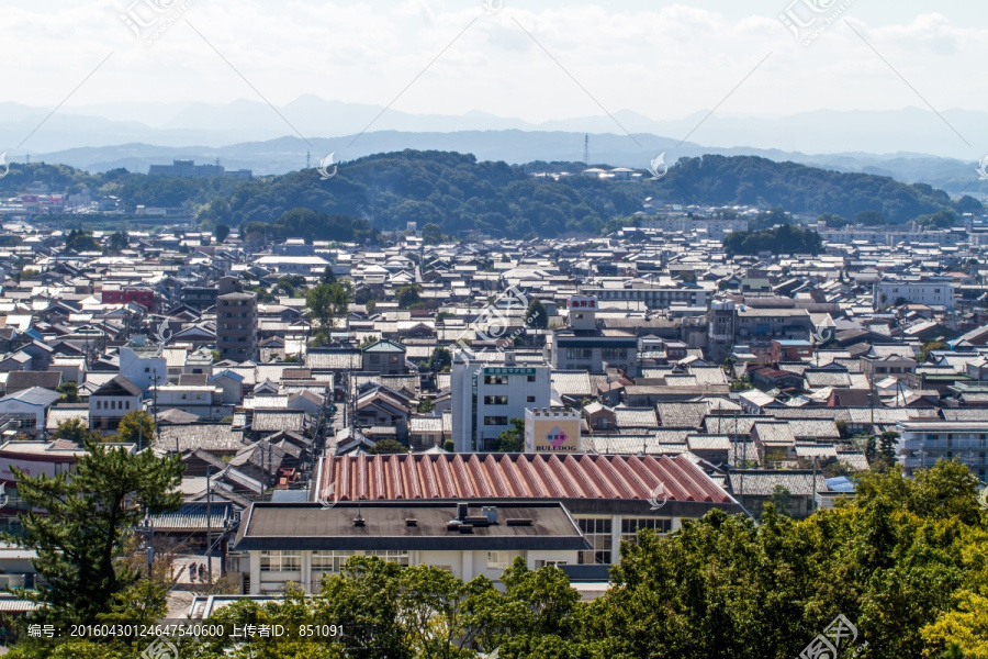 日本上野城全景图