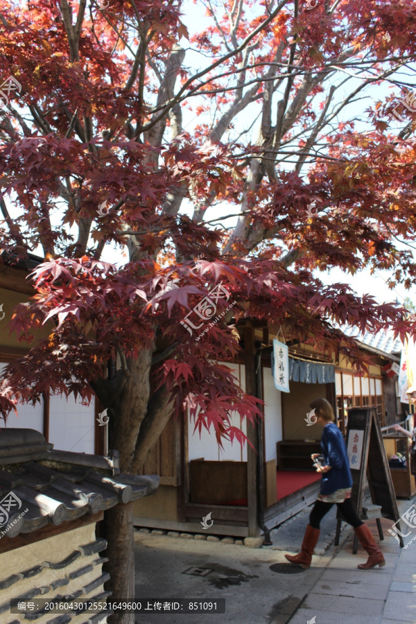 托福横町