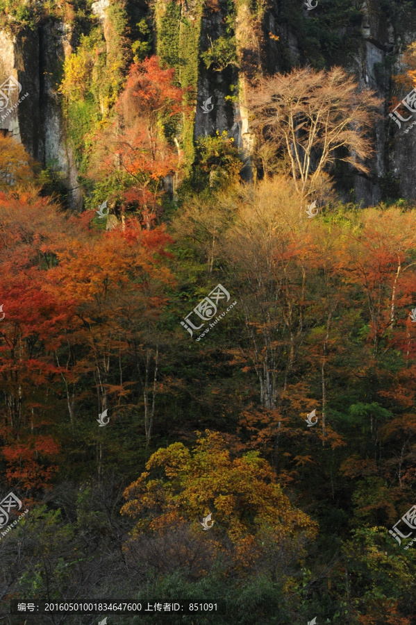 耶马溪,一目八景