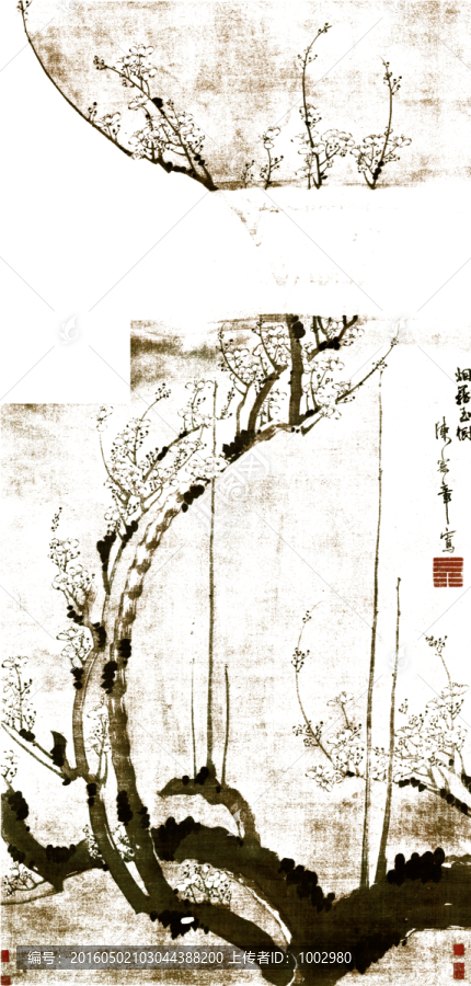 國(guó)畫(huà)花鳥(niǎo)