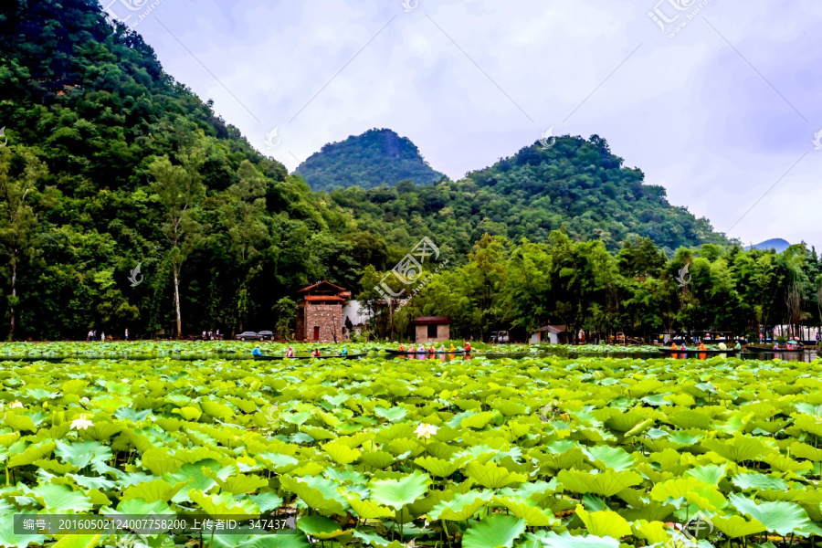 云南普者黑景区