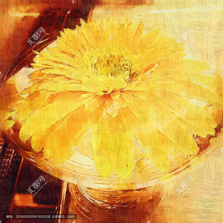 油畫(huà),菊花