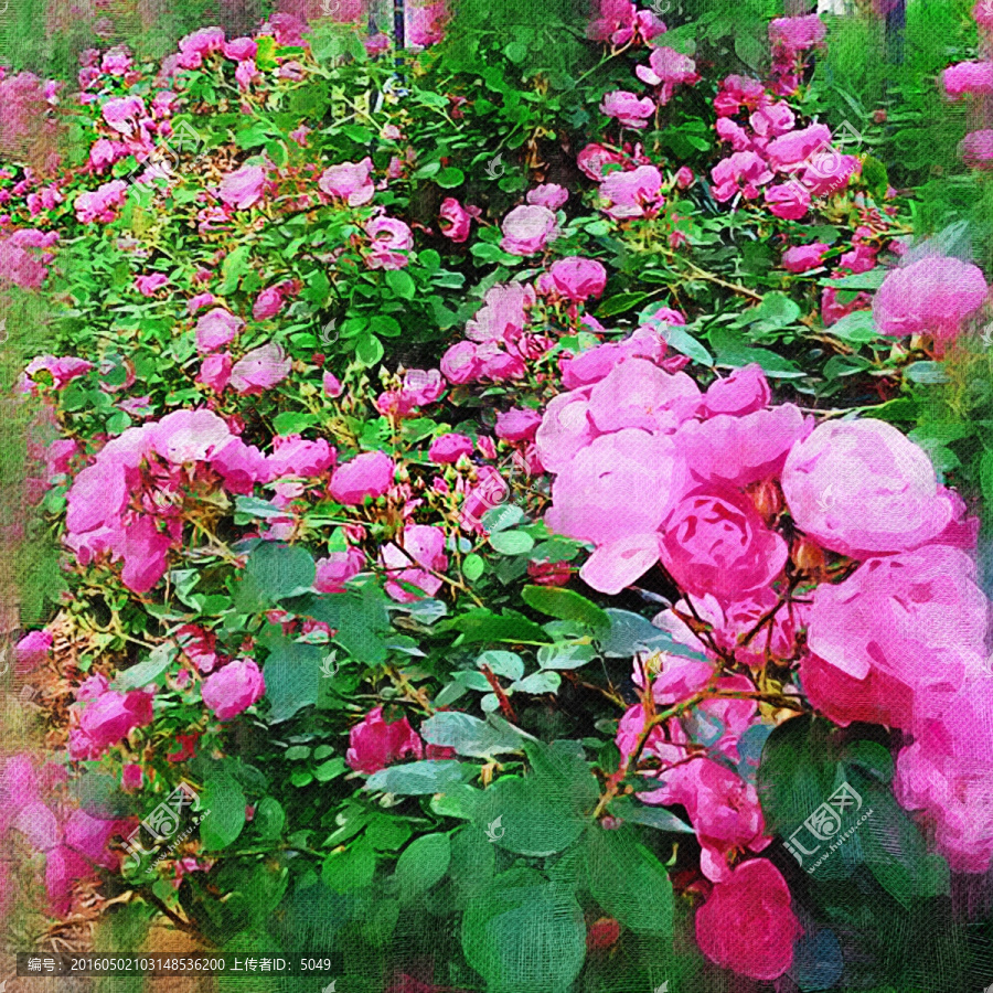 油畫,花卉