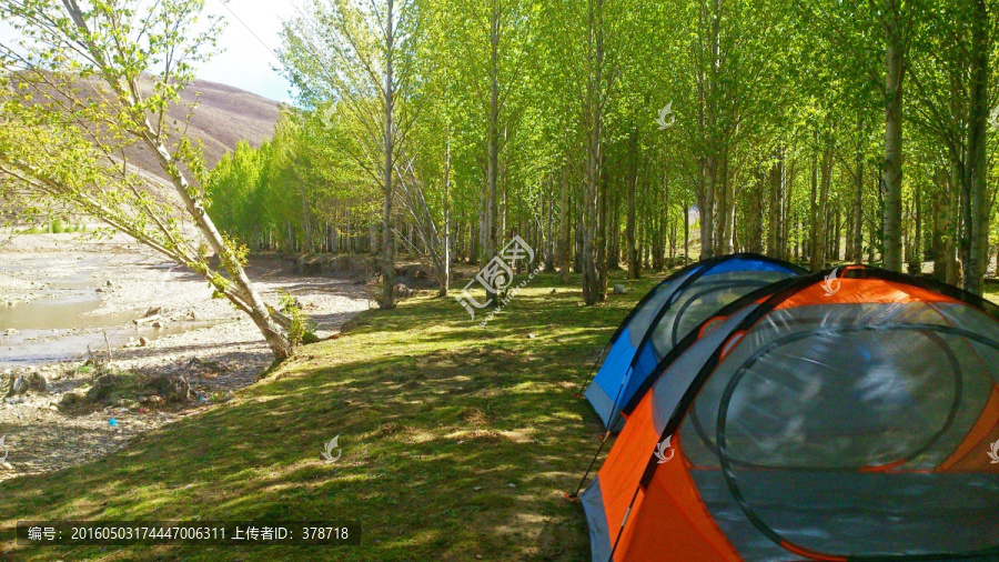 树林下的帐篷