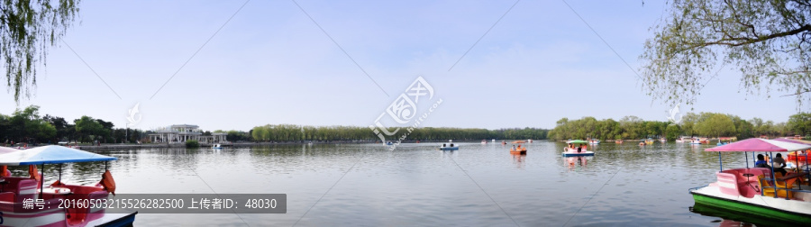 公园湖畔划船