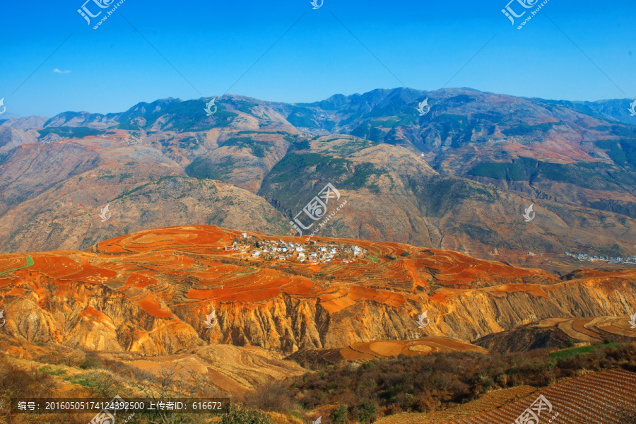 云南东川红土地,农业种植