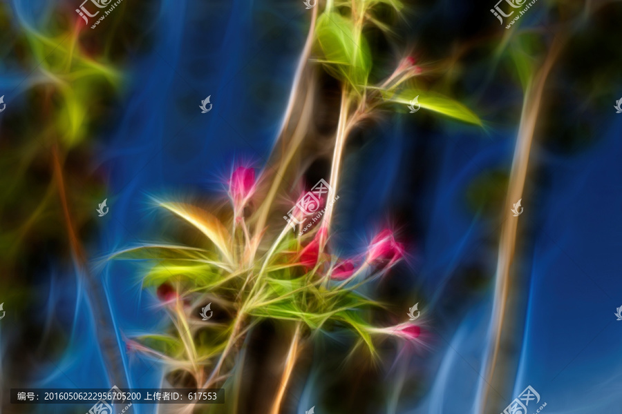 海棠花蕾抽象畫