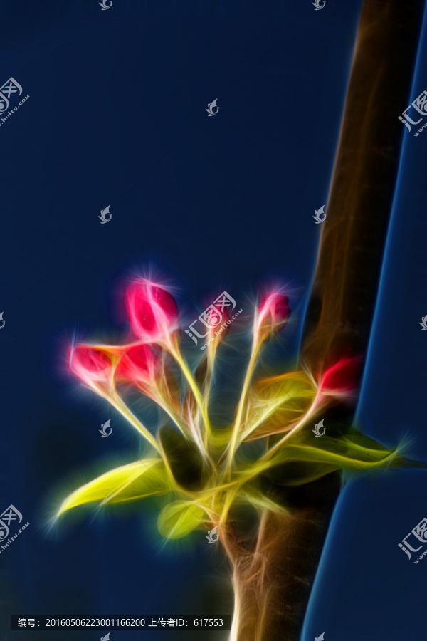 海棠花蕾抽象畫