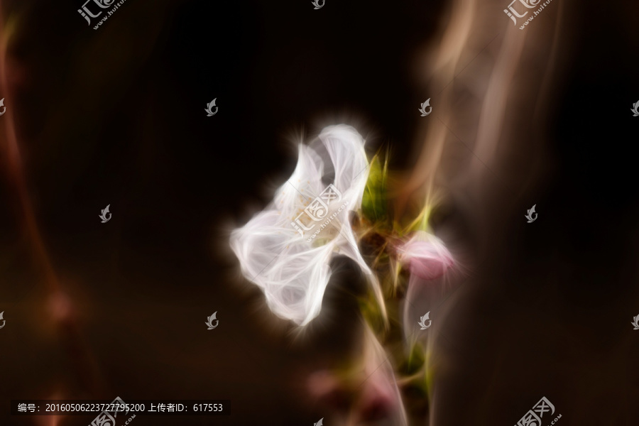 櫻花抽象畫(huà)