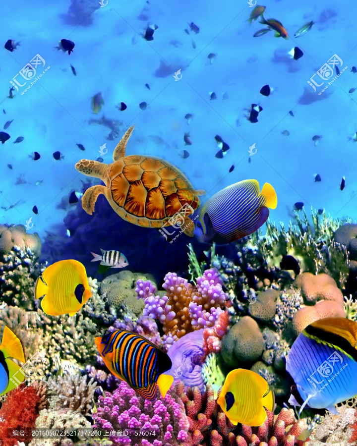 海底世界