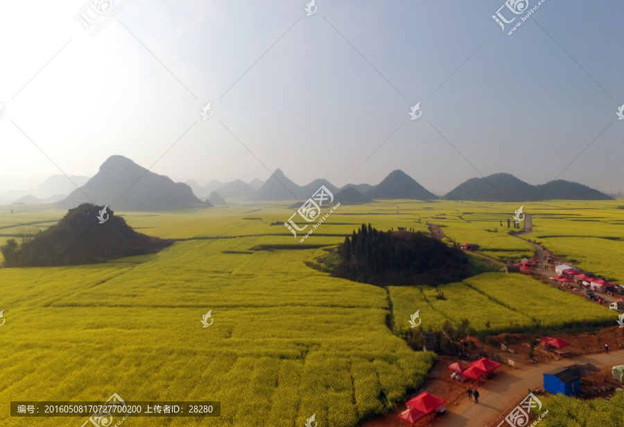 金鸡峰丛,罗平油菜花