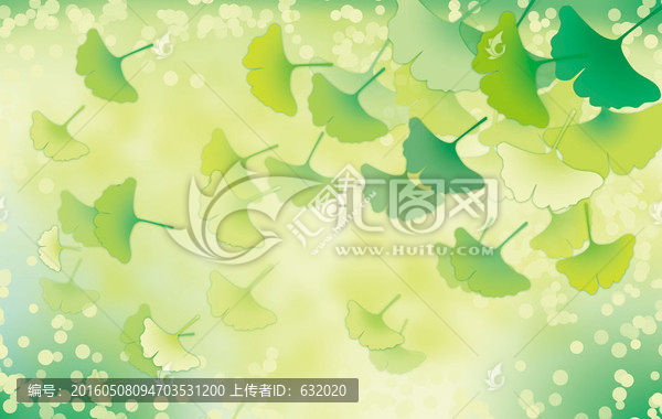 高清綠銀杏葉植物裝飾畫(huà)PSD