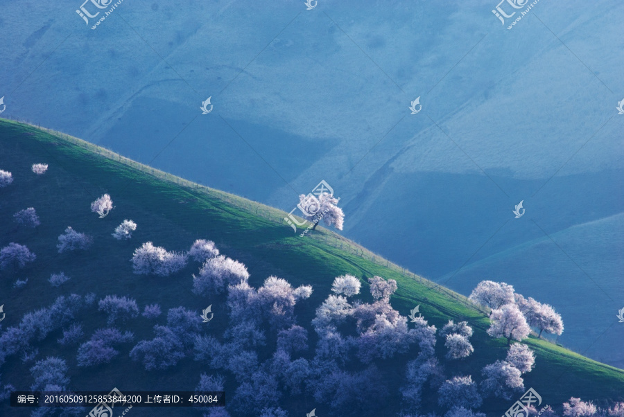 春天的山野