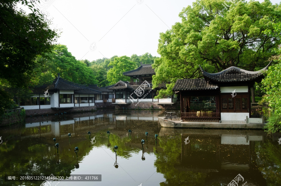 杭州,曲院风荷