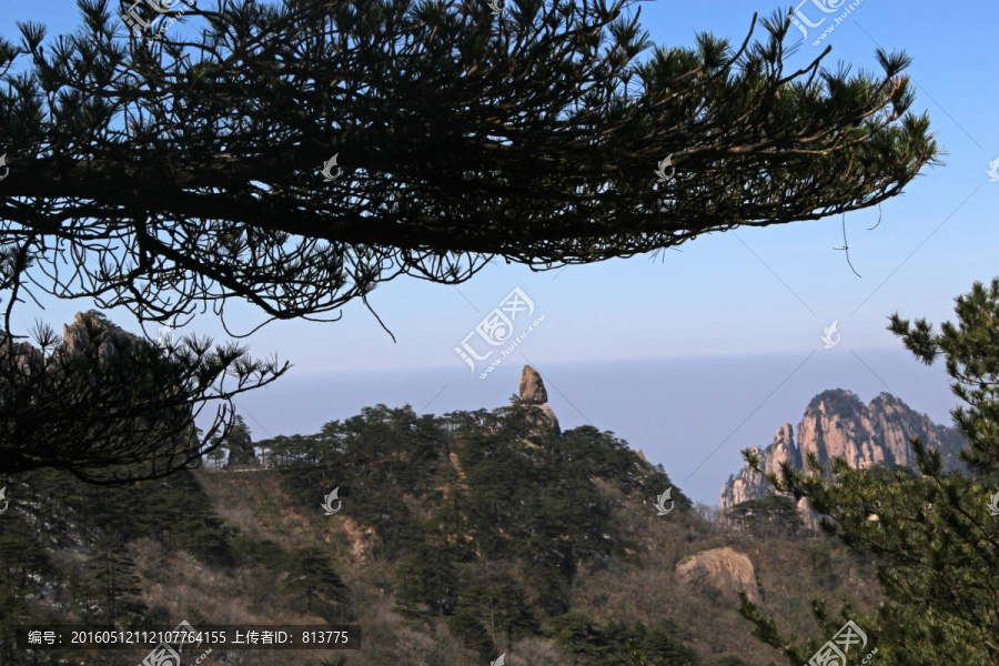 松树掩映飞来石