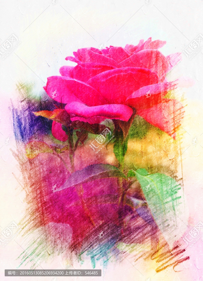 彩墨,月季花