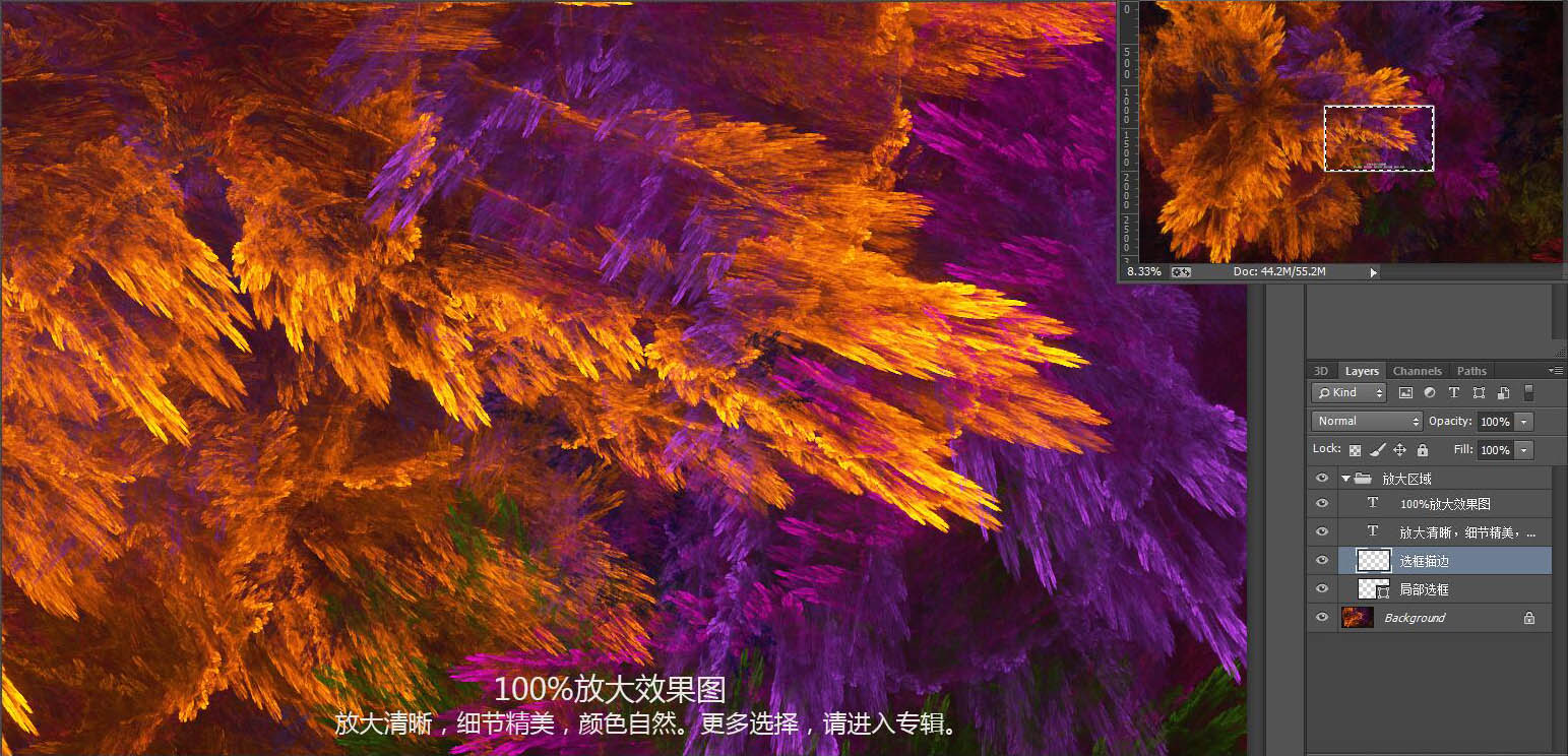 花紋圖案
