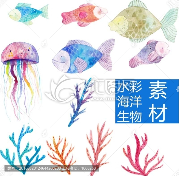 水彩海洋生物