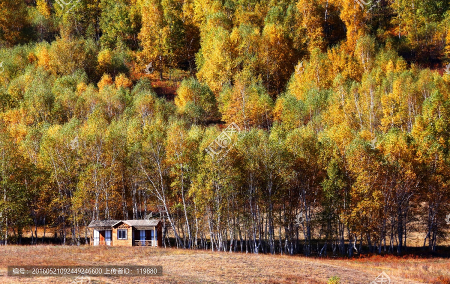 坝上草原风光