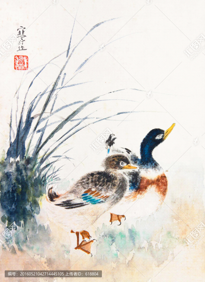 花鳥國畫,畫廊高清品質(zhì)
