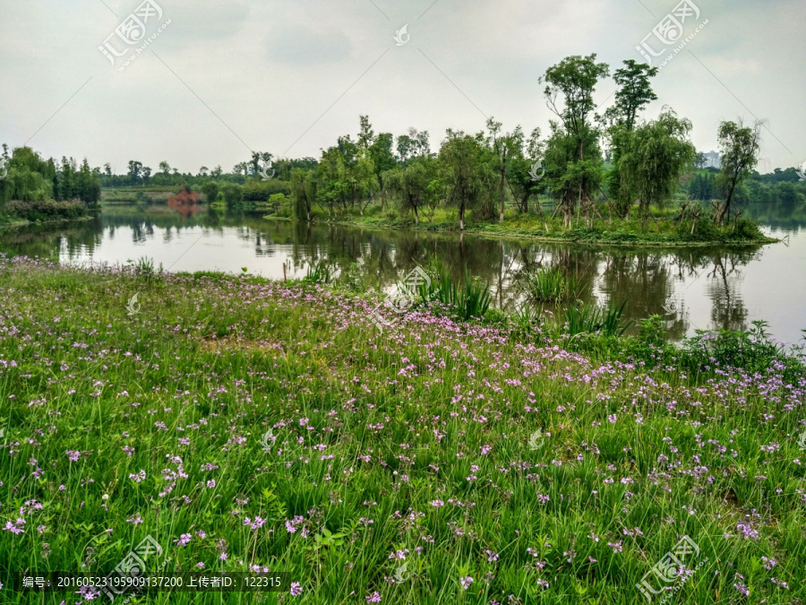 白鹭湾湿地