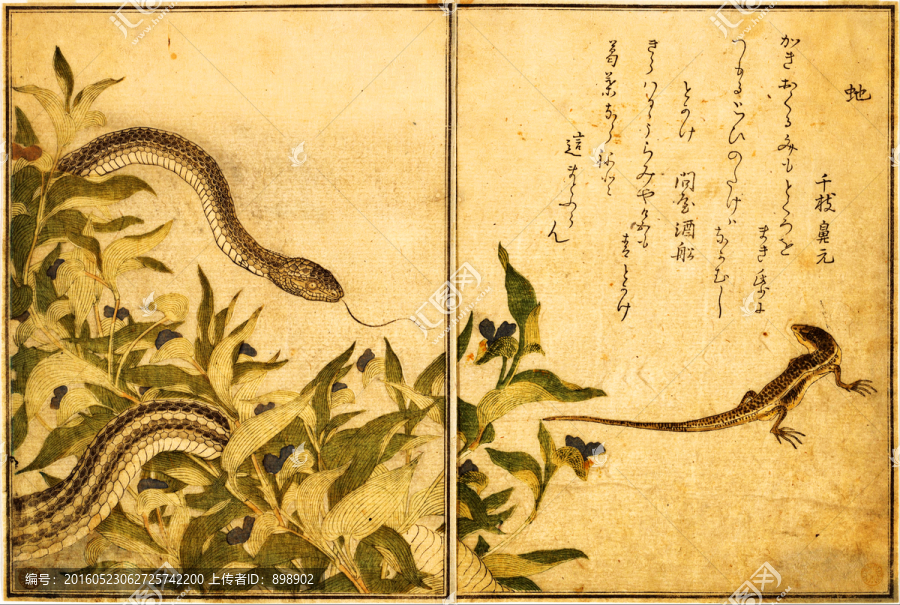 日本畫